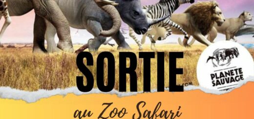 sortie automne 2023 zoo safari